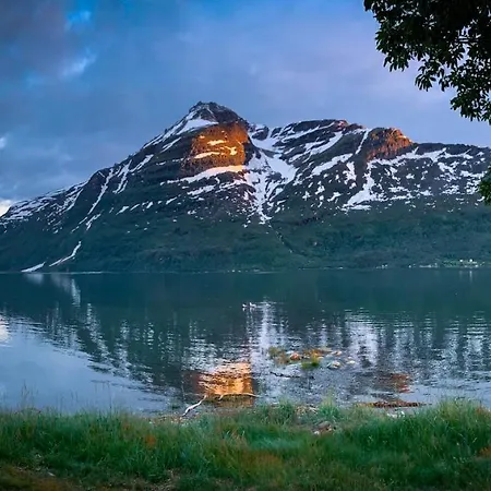 The Red Fjordhouse Holiday home *