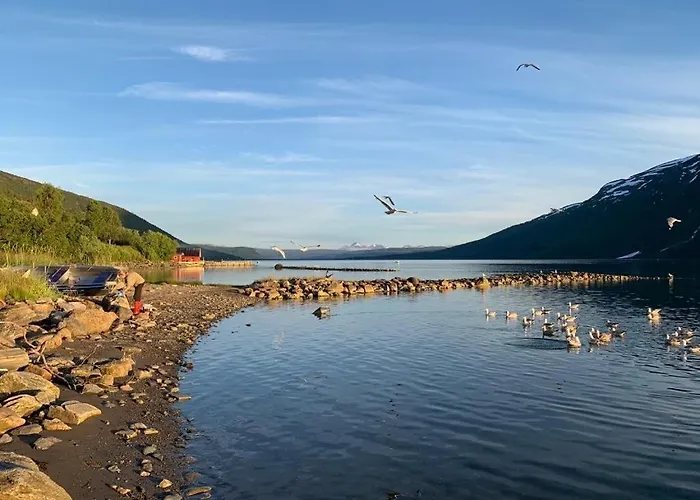 The Red Fjordhouse Дом отдыха Malsnes