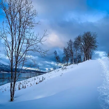 The Red Fjordhouse بيت للعطل *