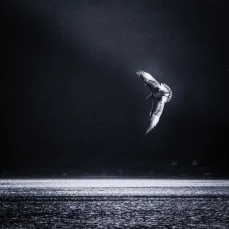 The Red Fjordhouse Malsnes